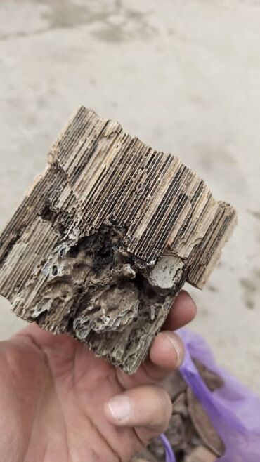 Скупка катализаторов: Ош шаарында автокатализатор сатып алабыз кымбат баада жана баардык — 19