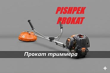АРЕНДА ТРИММЕРА триммер аренда аренда триммер триммер в аренду прокат