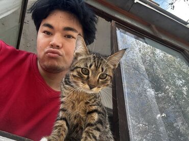 ищу работу посудомойщица: Пекарь Бариста кассир опыт есть по году )))