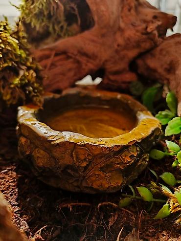 Зоотовары: 🌿 Украшения и декорации для аквариумов и террариумов 🌿 Продаю — 13