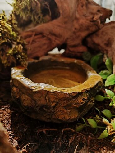 Зоотовары: 🌿 Украшения и декорации для аквариумов и террариумов 🌿 Продаю — 21