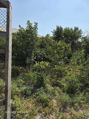 qusarda yer satilir: Həyətyanı torpaq sahesi 4 sot yarimdir sokar poliklinka ilr uzbruz su — 4