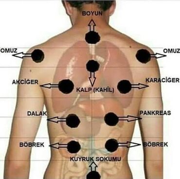 optitech vitamin c: Klinikaya otaq yoldaşı axtarılır. Masajist, hicama və zəli ilə müalicə