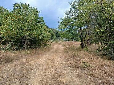 Torpaq sahələrinin satışı: 170 sot, Biznes üçün, Mülkiyyətçi, Kupça (Çıxarış) — 16