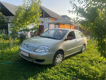 купить машину шевроле: Toyota Corolla: 2005 г., 1.6 л, Механика, Бензин, Седан