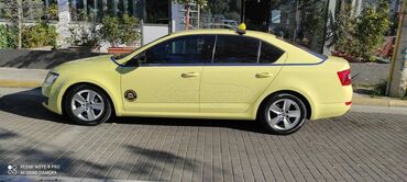 Skoda: Skoda Ocatvia: 1.6 l. | 2015 έ. 209000 km. Sedan — 11