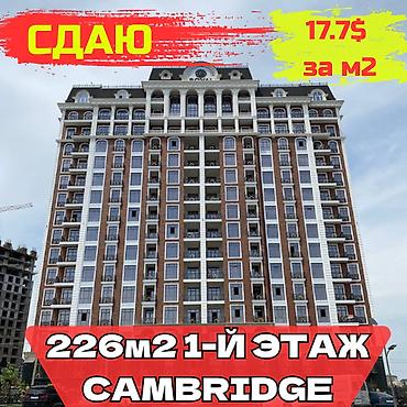 Аренда другой коммерческой недвижимости: Сдается коммерческое помещение свободного назначения Малдыбаева — 1