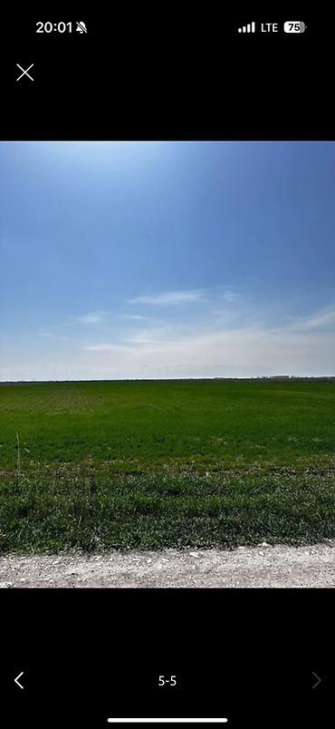 продаю дом дордой 1: 1000 соток — 5