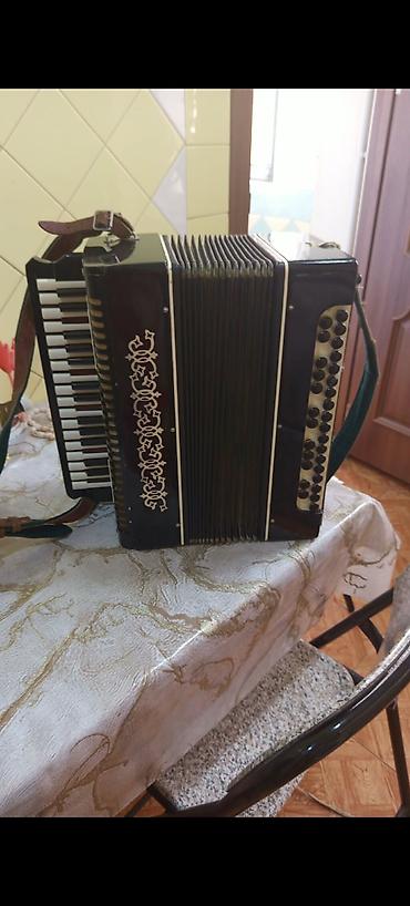 akkordeon: Akustik Akkordeon, İşlənmiş, Ünvandan götürmə — 1
