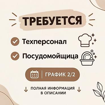 ig development: Требуется Посудомойщик, Оплата: Каждые 10 дней — 1