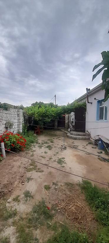 bine sovxoz: Buzovna qəsəbəsində həyət evi satılır. Torpağın və evin kupçası var — 1