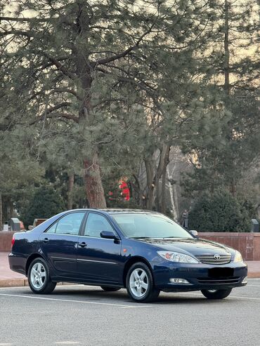 toyota 2002: Toyota Camry: 2002 г., 2.4 л, Автомат, Бензин, Седан