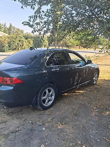 соната экран: Honda Accord: 2003 г., Автомат, Бензин, Седан — 2