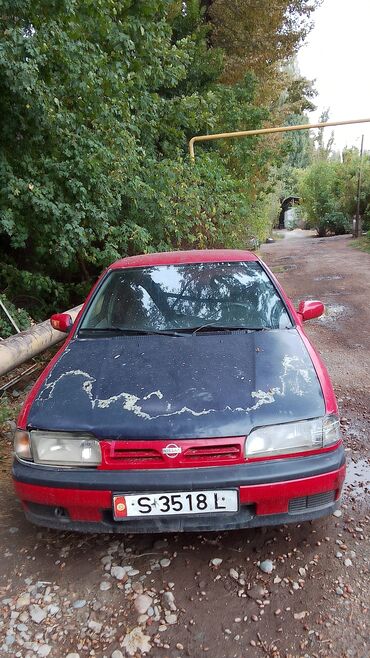 ниссан примера автомат: Nissan Primera: 1993 г., 1.6 л, Механика, Бензин, Седан