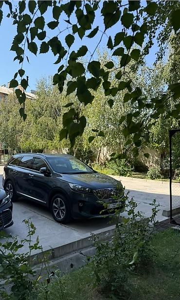 70: Kia Sorento: 2018 г., 2 л, Автомат, Дизель, Кроссовер — 1