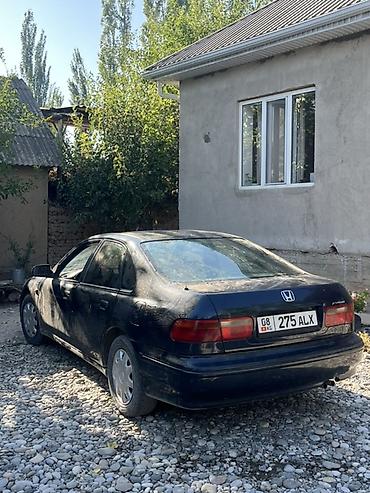 camry xv55: Honda Accord: 1995 г., Бензин, Седан — 2