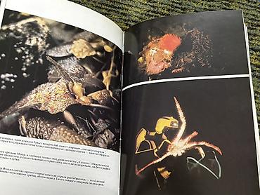 Саморазвитие и психология: 1) Книга «Экономика для Школьников». Обучающая литература. Авторы — 17