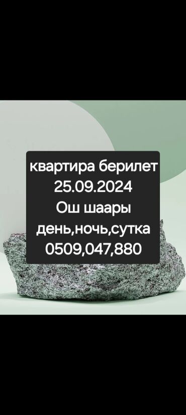 сдаю квартира аламидин1: Квартира берилет ночько 
+