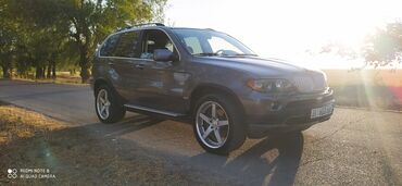 BMW: BMW X5: 2004 г., 4.4 л, Автомат, Бензин, Кроссовер — 8