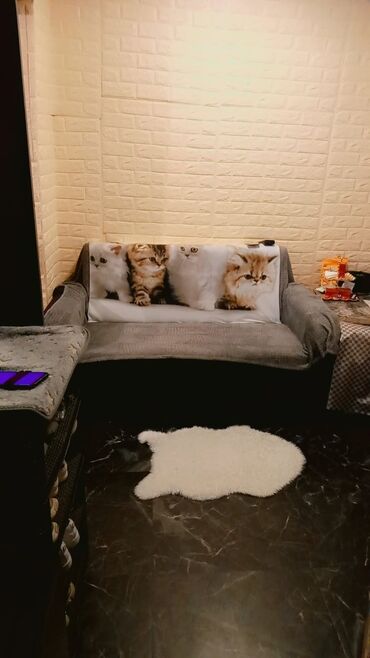 Oyuncaqlar: Geniş plyuş ayı oyuncaq - Rəng: açıq boz - Material: yumşaq plyuş -da lalafo.az — 3 Oyuncaqlar: Geniş plyuş ayı oyuncaq - Rəng: açıq boz - Material: yumşaq plyuş — 3