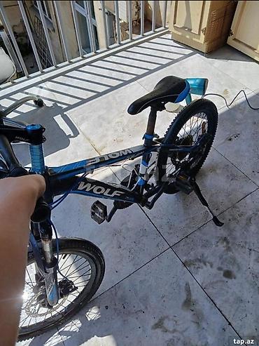 wolf bicycle: Uşaq/yeniyetmə dağ velosipedi – WOLF - Ölçü: təxmini 20–24" təkər — 1