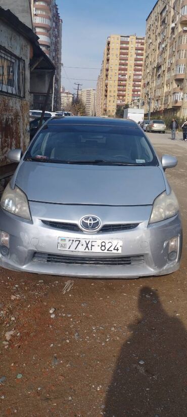 toyota prius 30 kuza arenda: Сутки, Toyota