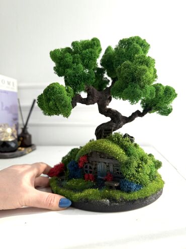 Декоративные цветы: В переводе с японского Бонсай означает «дерево, выращенное в блюде» at lalafo.kg — 27 Декоративные цветы: В переводе с японского Бонсай означает «дерево, выращенное в блюде» — 27