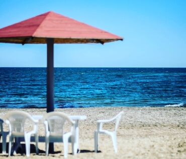 Kommersiya daşınmaz əmlakının satışı: Dəniz kənarında dəniz mənzərəli, çimərliyi olan restoran satılır -da lalafo.az — 15 Kommersiya daşınmaz əmlakının satışı: Dəniz kənarında dəniz mənzərəli, çimərliyi olan restoran satılır — 15