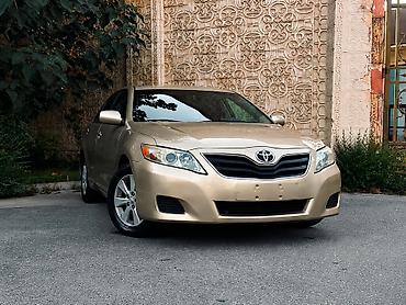 сиденья вольво: Toyota Camry: 2009 г., 2.5 л, Автомат, Бензин, Седан — 1