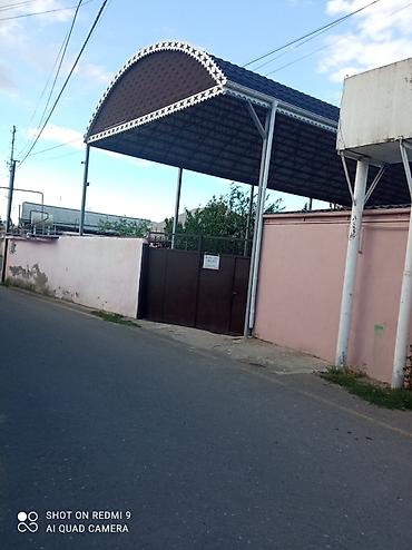 bileceri kiraye evler: 7 комнат, 250 м² — 1