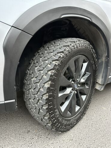 Subaru: Subaru Outback: 2023 г., 2.5 л, Вариатор, Бензин, Универсал — 12