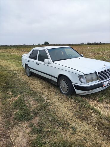 Mercedes-Benz: Mercedes-Benz 250: 1987 г., 2.5 л, Механика, Дизель, Седан