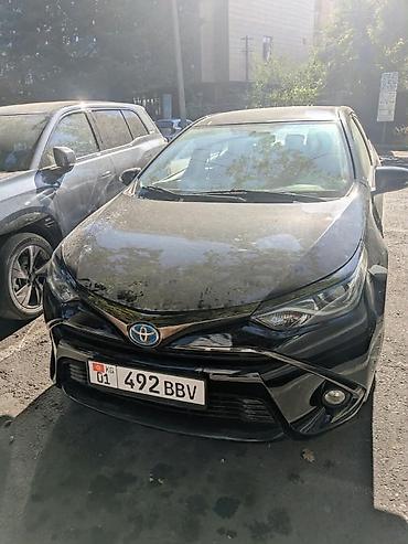 levin corolla: Toyota Levin: 2020 г., 1.8 л, Автомат, Гибрид, Седан — 1