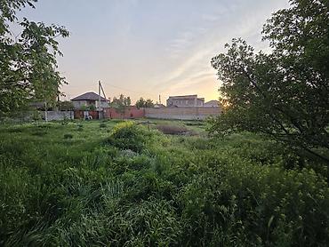 16 соток, Для строительства, Красная книга