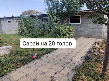 бизнес балыкчы: 60 соток, Для бизнеса — 4