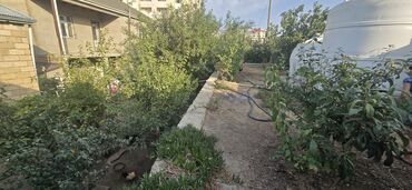 Həyət evləri və villaların satışı: 7 otaqlı, 200 kv. m, Orta təmir — 24