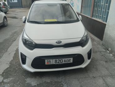 рассрочка авто бишкек без первоначального взноса: Kia Morning: 2019 г., 0.1 - engine capacity л, Автомат, Бензин, Хетчбек