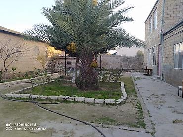 Torpaq sahələrinin satışı: 6 sot, Makler, Kupça (Çıxarış) — 16