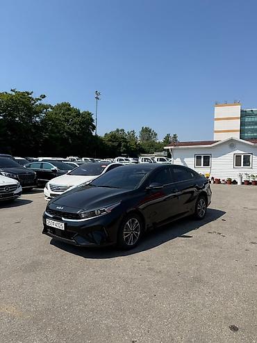 kia 3: Kia K3: 2022 г., Вариатор, Бензин, Седан — 2