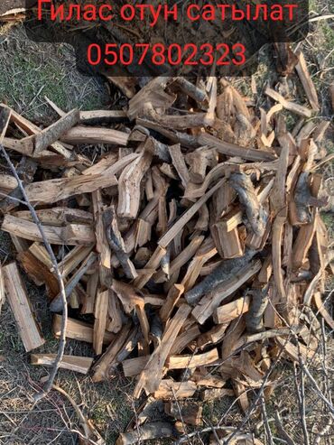 дрова отдам: Дрова Самовывоз, Платная доставка
