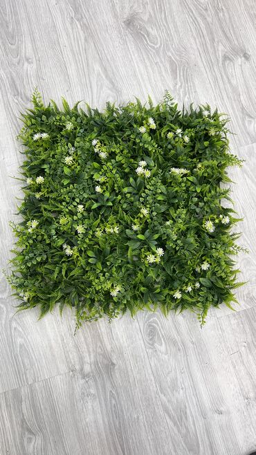 Toxumlar: 9 azn baslayan qiymetler Suni qazonlarin topdan satisi Suni qazon — 29