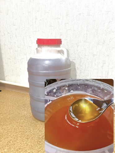 помидор сатылат: Мед 🍯 
Токтогульский 
Токтогулдун таза балы сатылат 
Кг 500