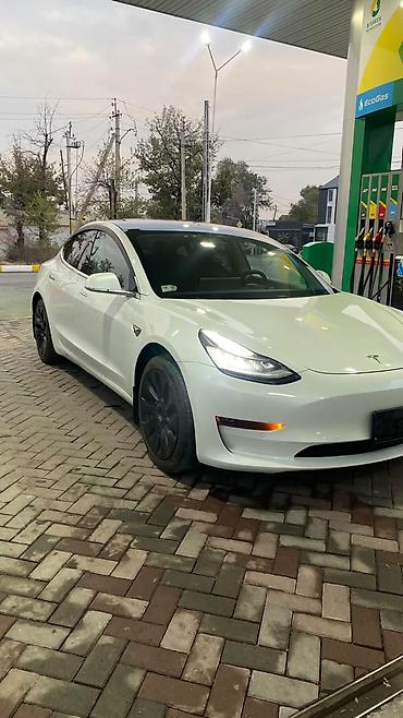 Tesla: Tesla Model 3: 2020 г., Автомат, Электромобиль, Седан — 4
