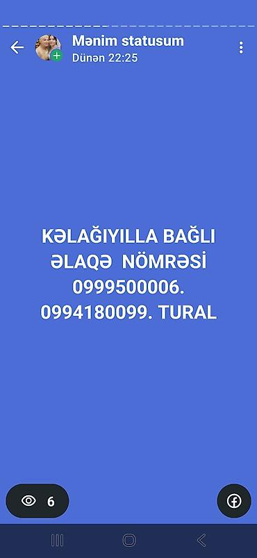 Boyunbağılar: Boyunbağı — 1