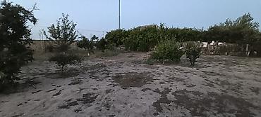Torpaq sahələrinin satışı: 10 sot, Tikinti, Maklerlər narahat etməsin, Kupça (Çıxarış) — 2