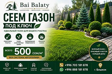 Строительство под ключ: Сеем газон «под ключ» от Bai Balaty — идеальный зелёный участок для — 1