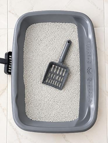 Pişik tualet qabı satılır