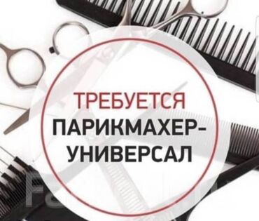 отель чолпон ата: Чач тарач Колорист. Пайыз