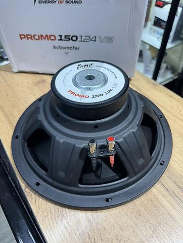 trex 2: Сабвуфер AMP PROMO 150 12A V2 (Energy of Sound) - Тип: сабвуферный — 5