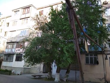аренда квартир без посредников на длительный срок: 7 mikrorayon, Ankara şadlıq sarayının yanında, 88, 3, 93 saylı Avtobus